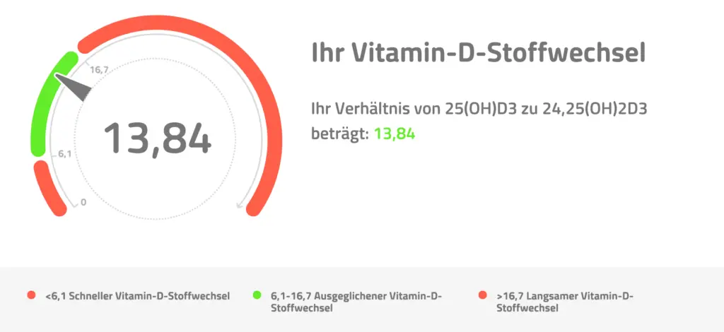 Vitamin-D-Stoffwechsel Februar 2021